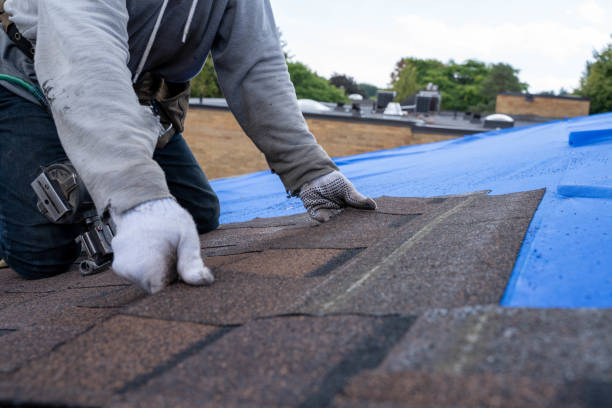 Roof Waterproofing Services in Roan Mountain, TN