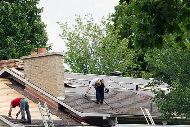 Best Gutter Installation and Roofing  in Roan Mountain, TN