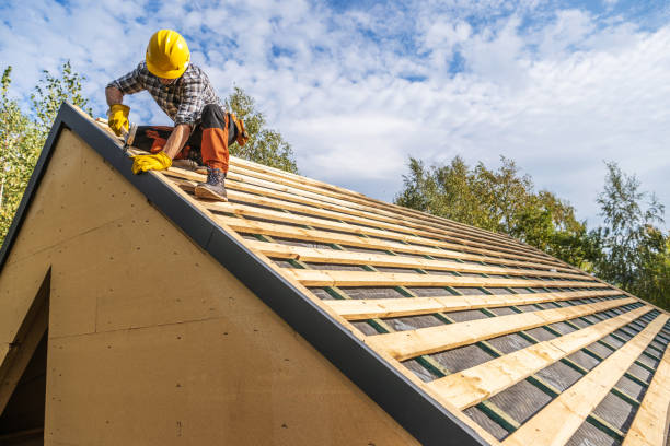 Best Roof Leak Repair  in Roan Mountain, TN