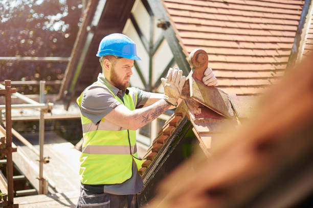 Best Commercial Roofing Services  in Roan Mountain, TN